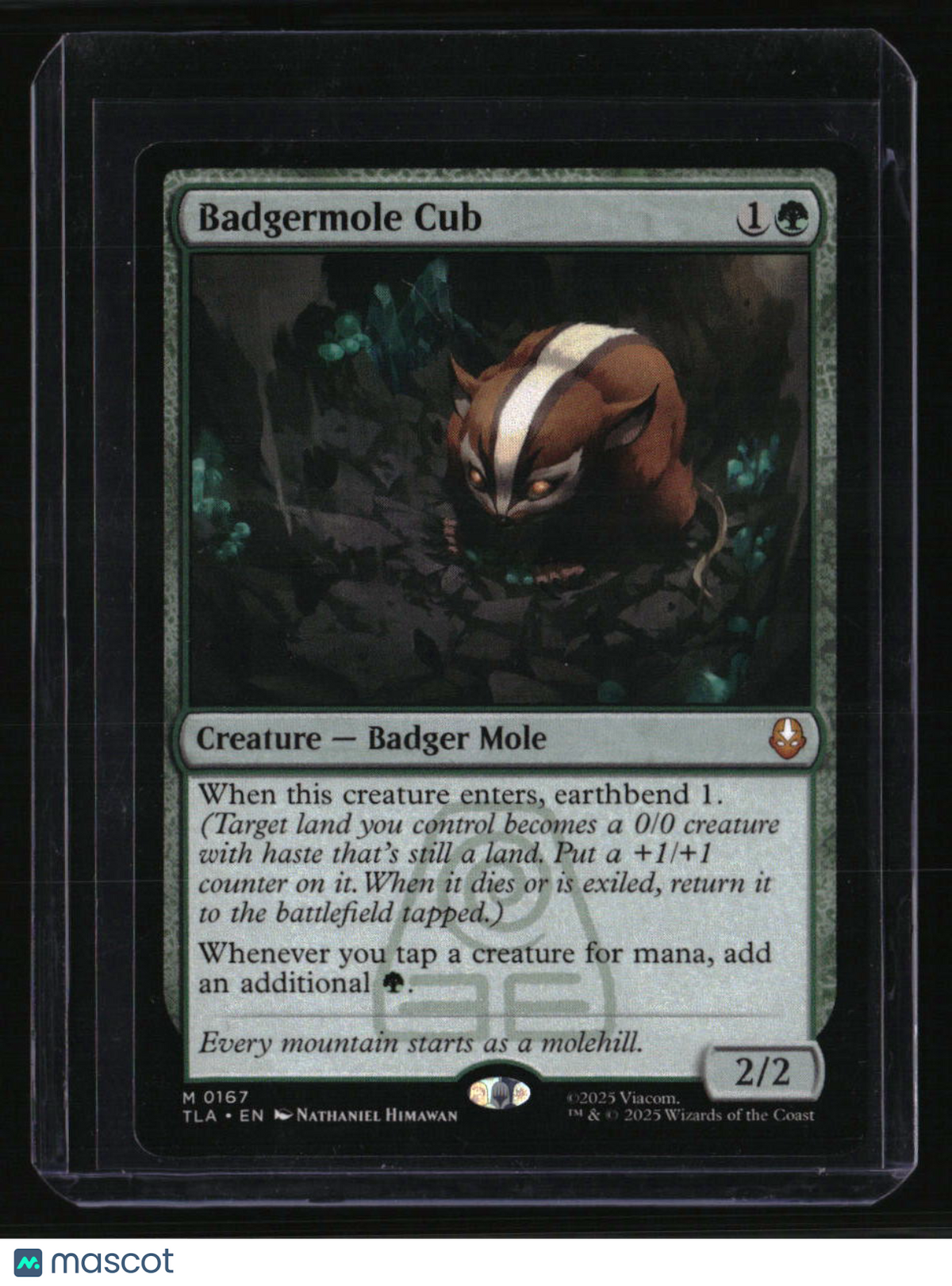 Avatar The Last Airbender Badgermole Cub