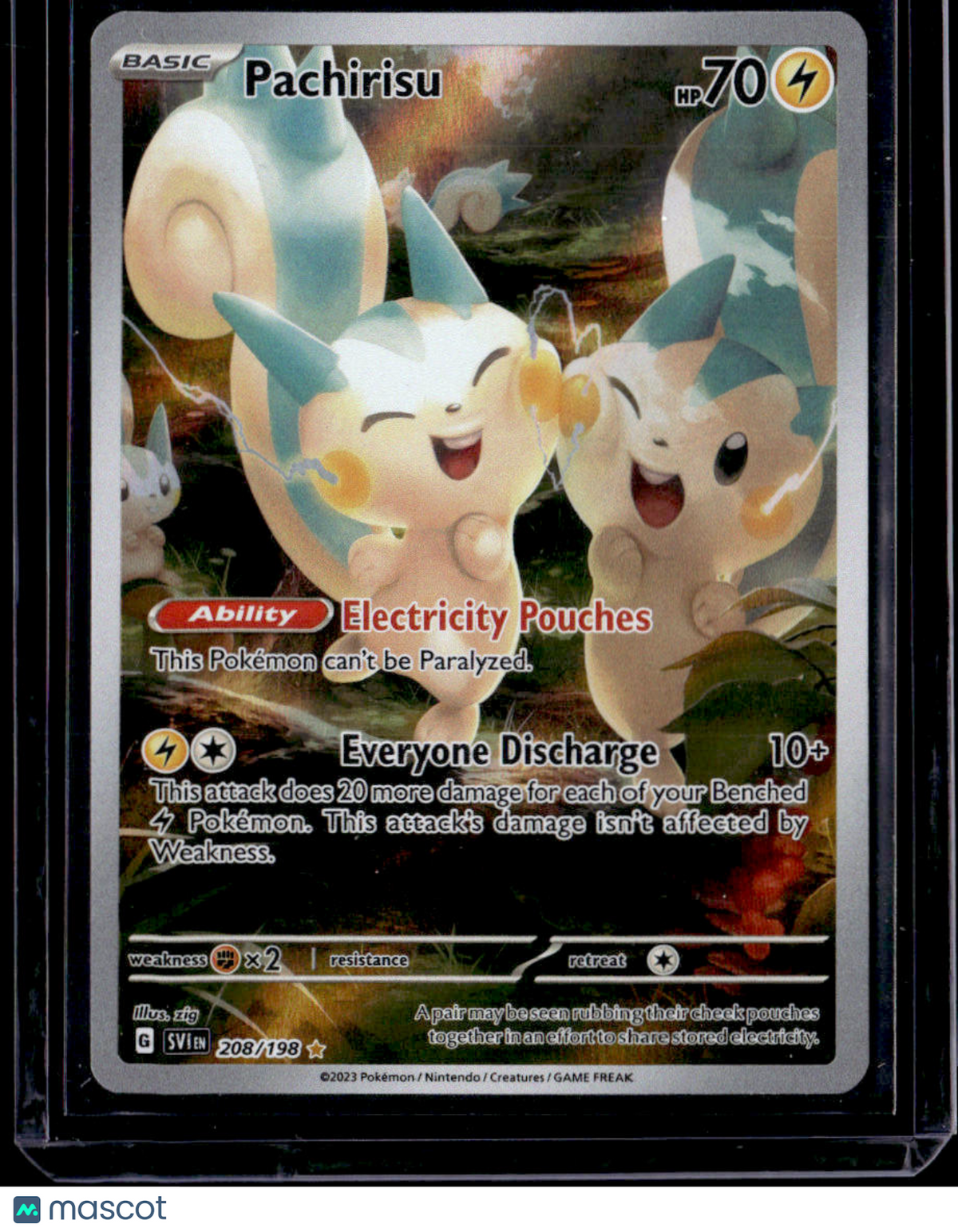 SV01: Scarlet & Violet Base Set Pachirisu