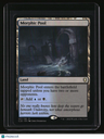Commander Legends: Battle for Baldur's Gate Morphic Pool