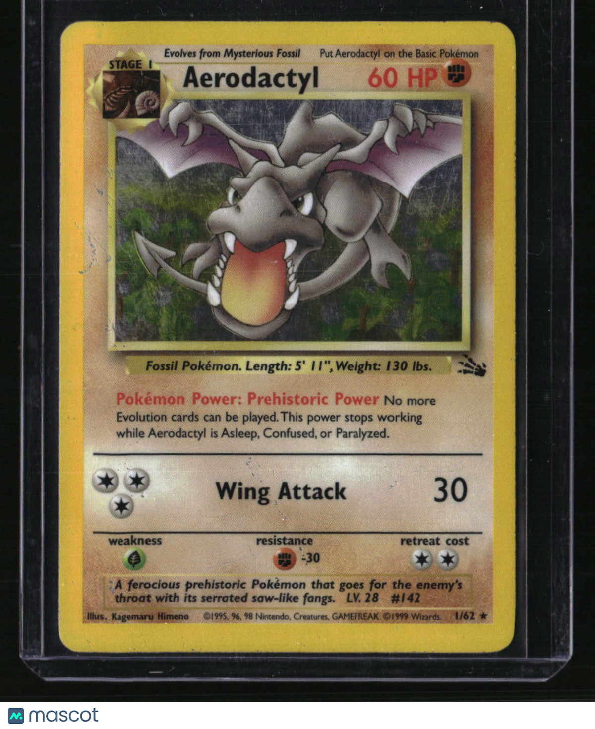Fossil Aerodactyl (1)