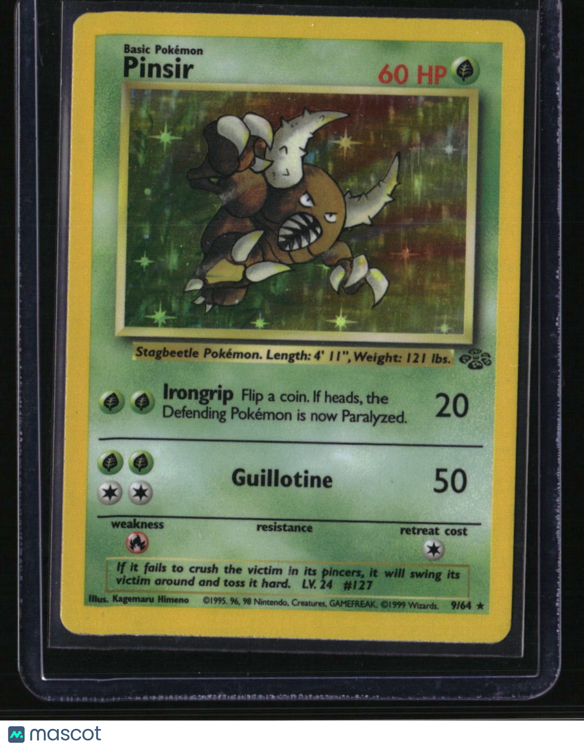 Jungle Pinsir (9)