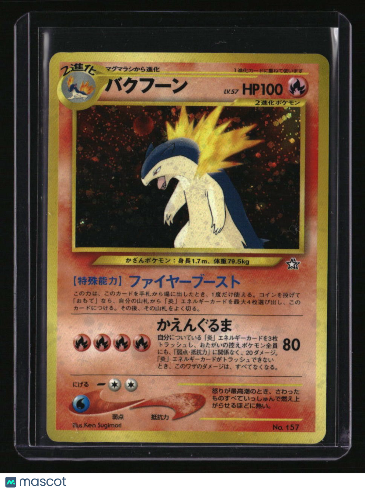 Neo Premium File 1 Typhlosion