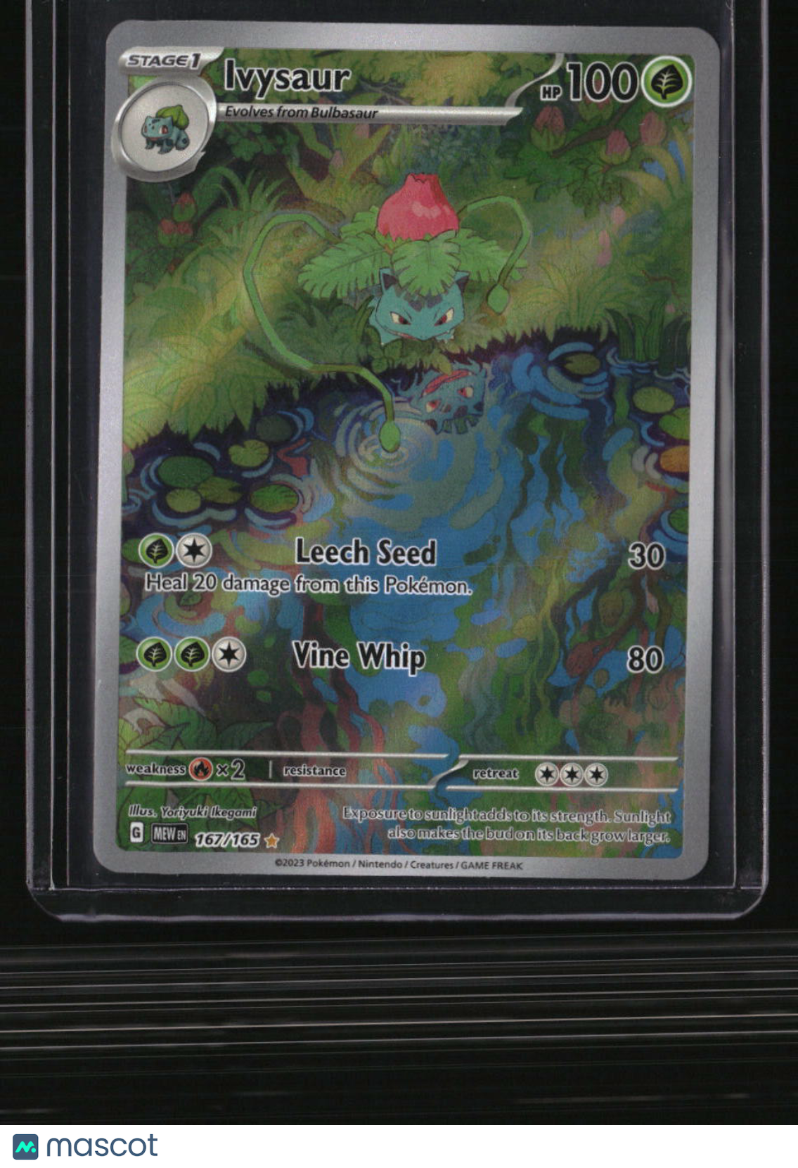 SV: Scarlet & Violet 151 Ivysaur