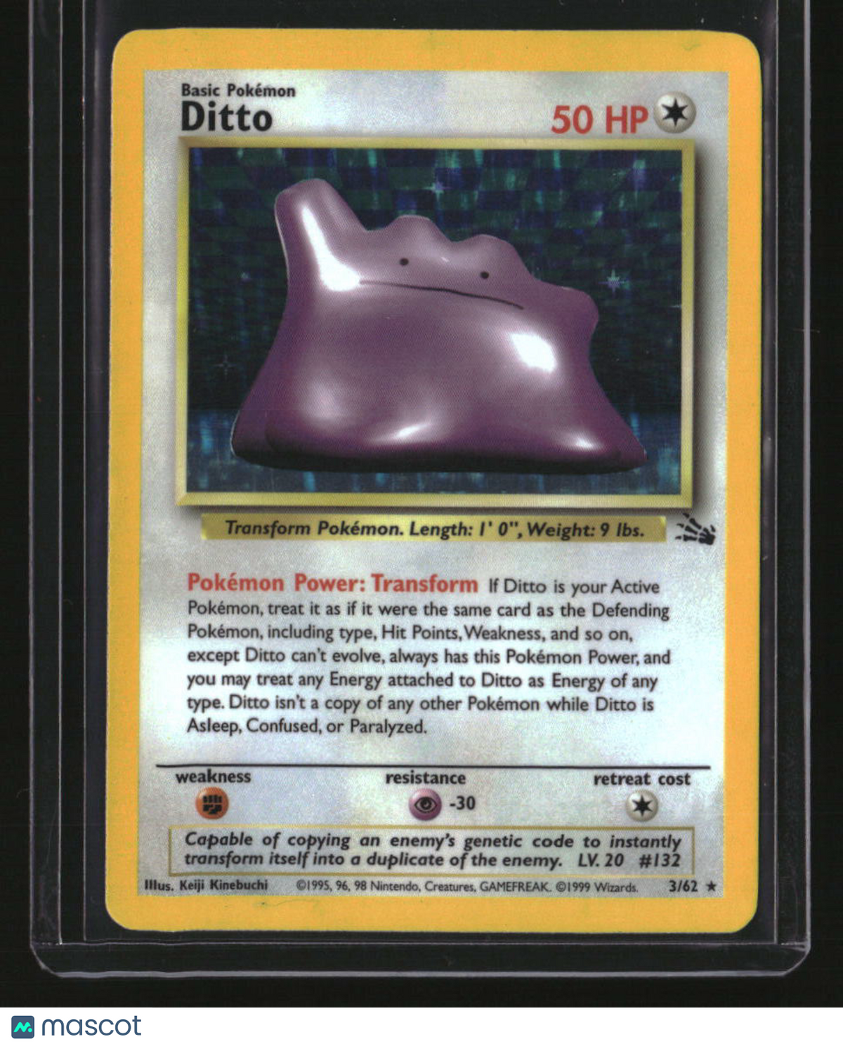 Fossil Ditto (3)