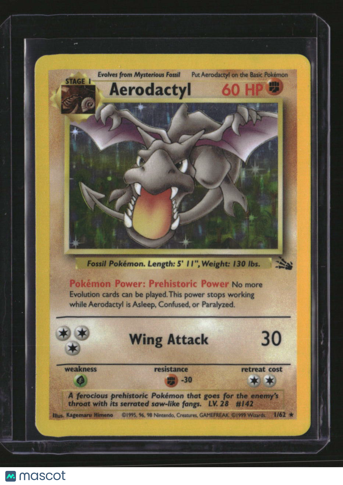Fossil Aerodactyl (1)