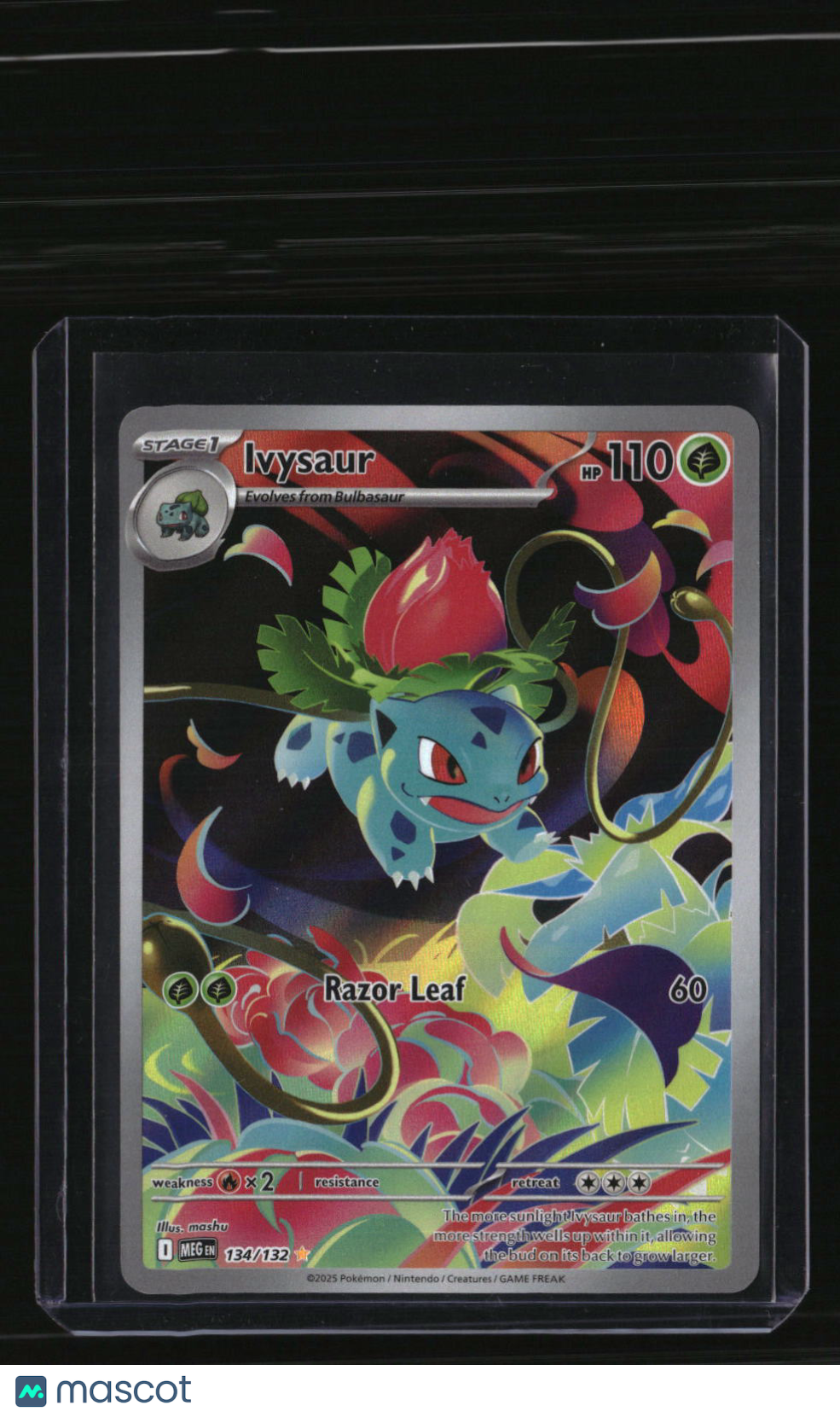 ME01: Mega Evolution Ivysaur
