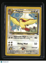 Southern Islands Pidgeot