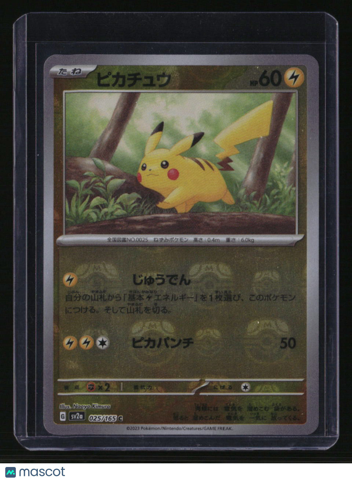 rare pokemon cards for sale GRADED RAINBOW RARE POKEMON CARD (Authentic Graded Rainbow Rare Card)