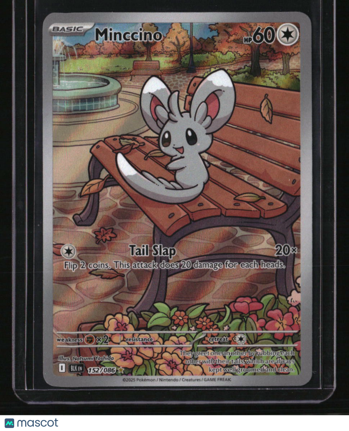 SV: Black Bolt Minccino