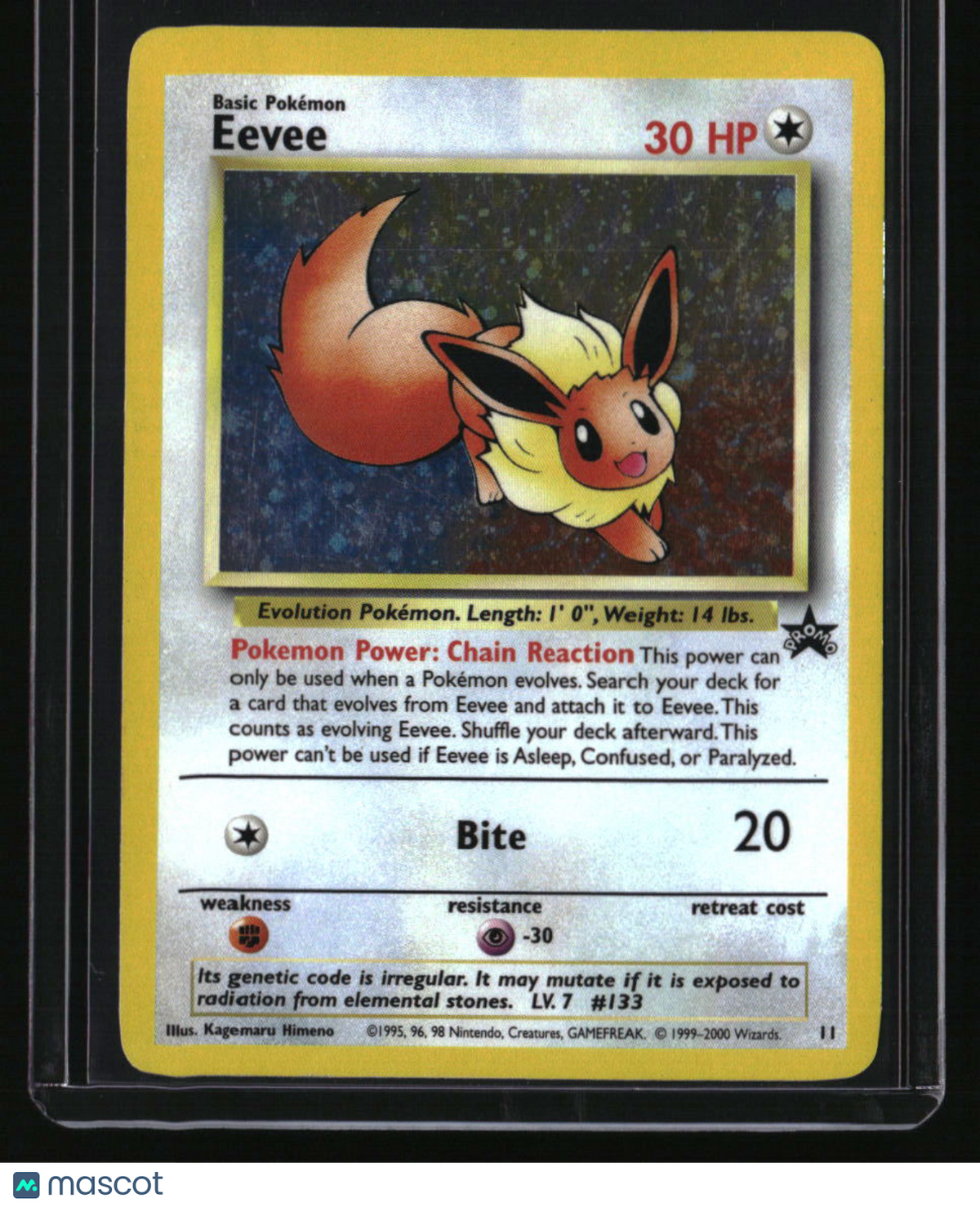 WoTC Promo Eevee