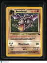 Fossil Aerodactyl (1)