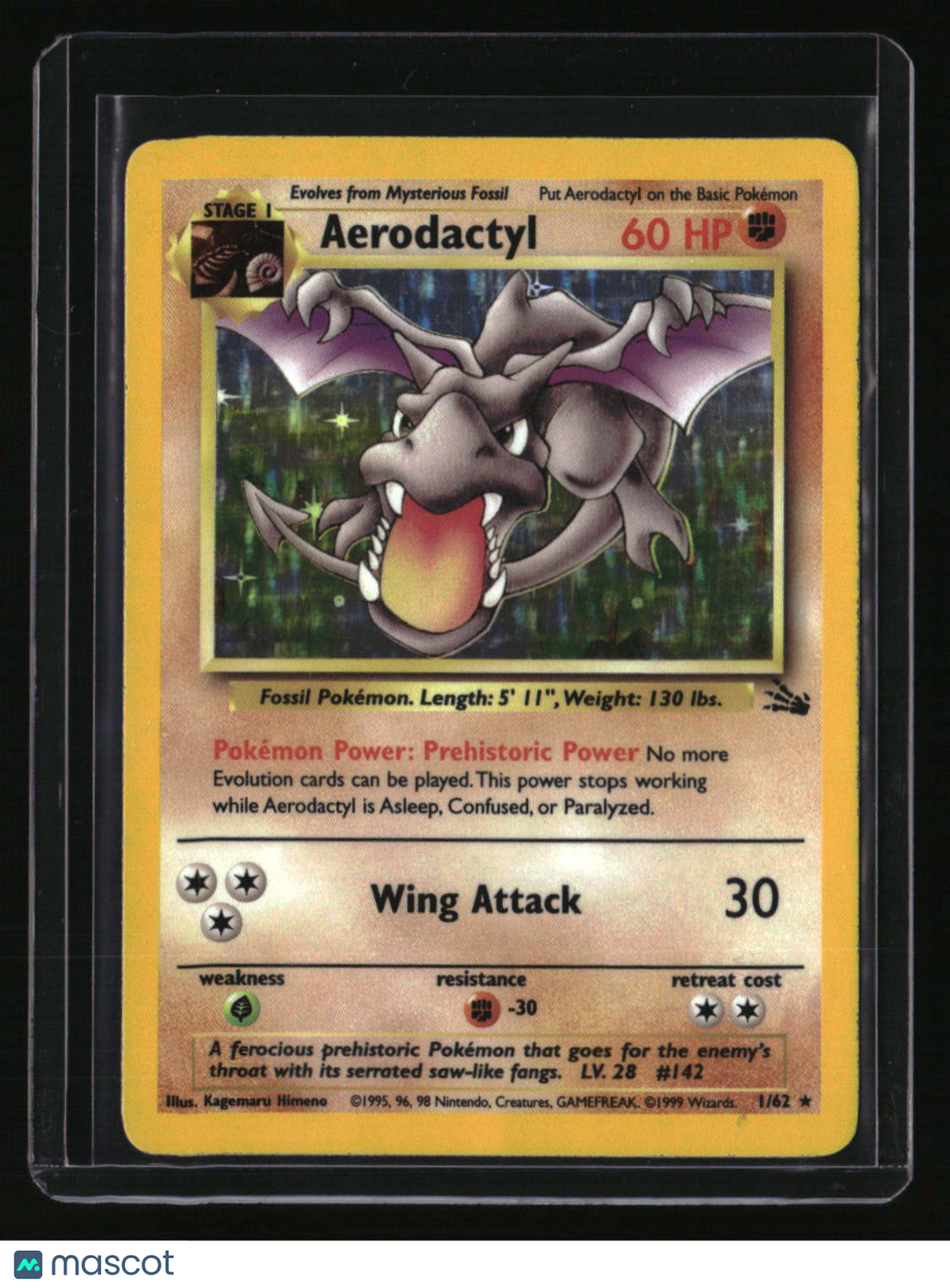 Fossil Aerodactyl (1)