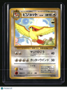 Japanese Southern Island Pidgeot