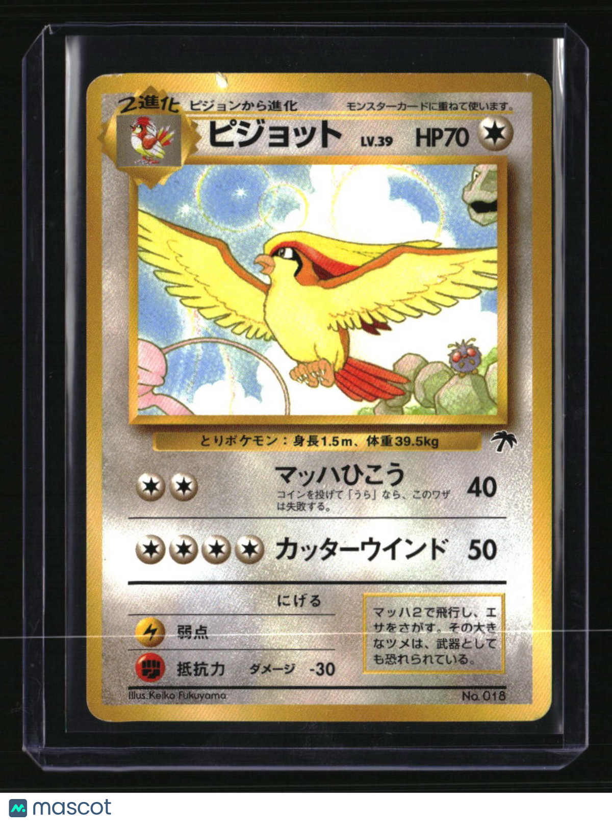 Japanese Southern Island Pidgeot