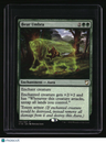Commander 2018 Bear Umbra