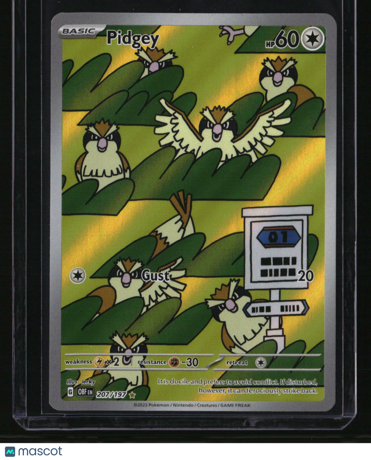 SV03: Obsidian Flames Pidgey