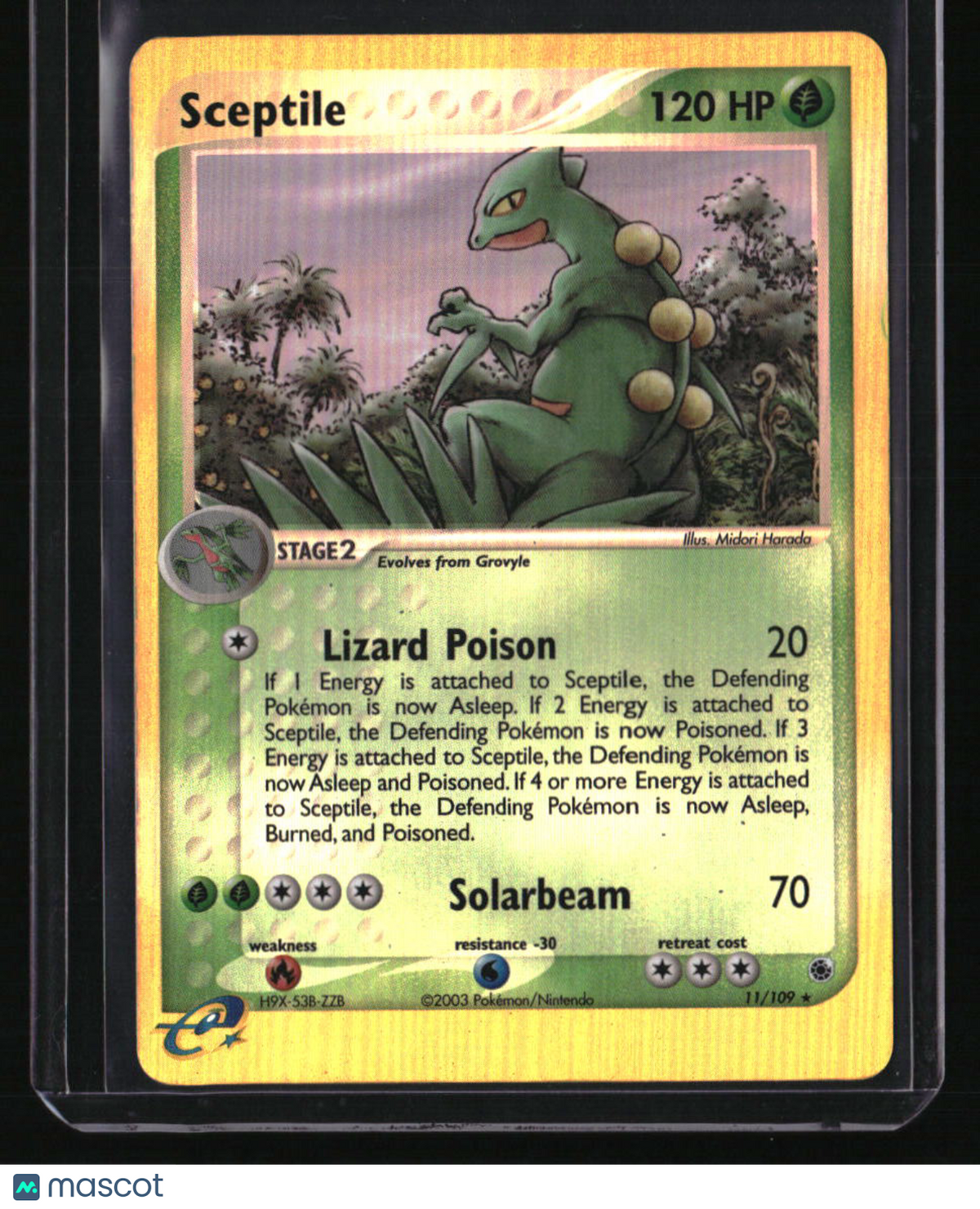 Ruby and Sapphire Sceptile Reverse Holo