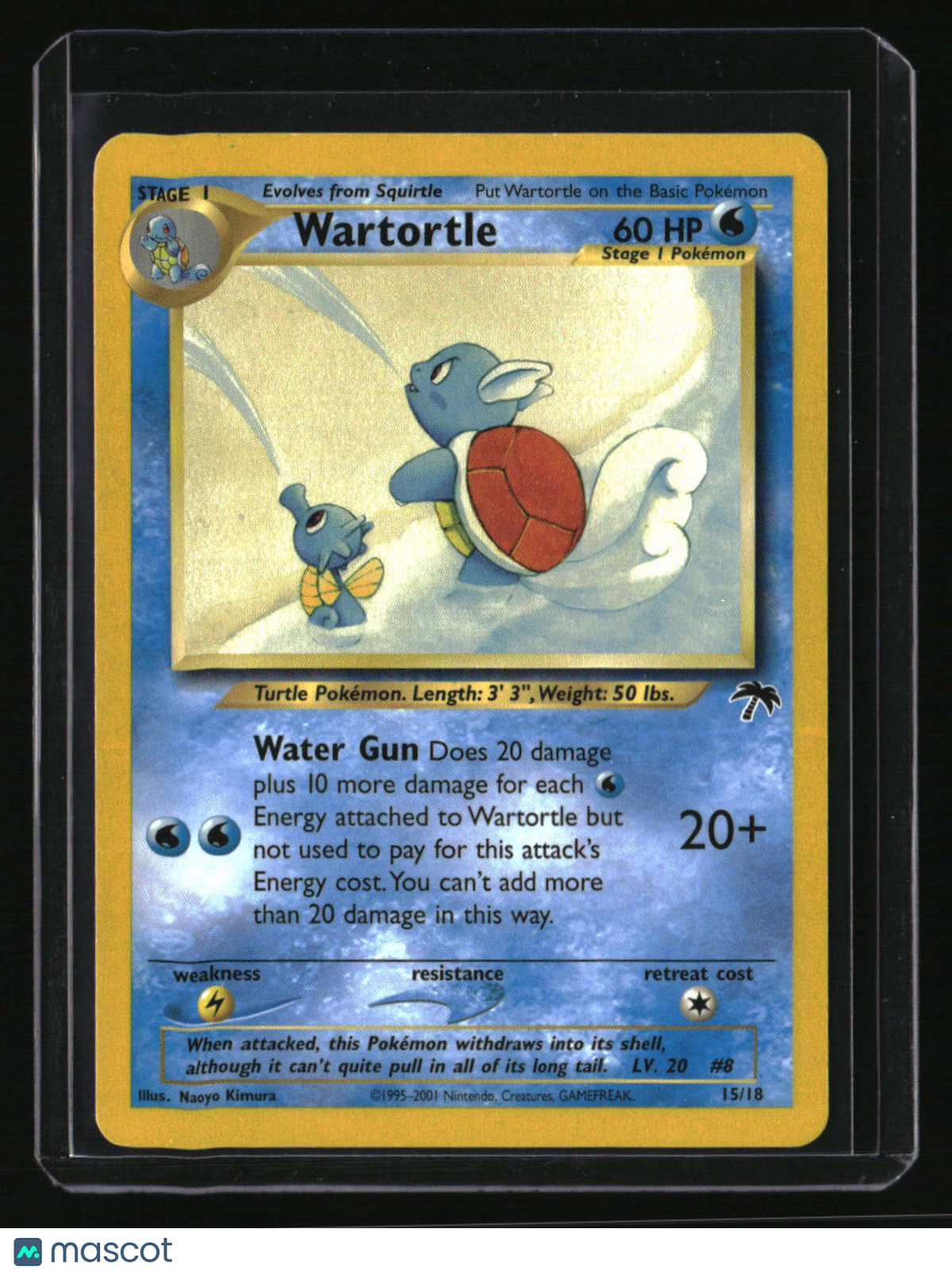 Southern Islands Wartortle