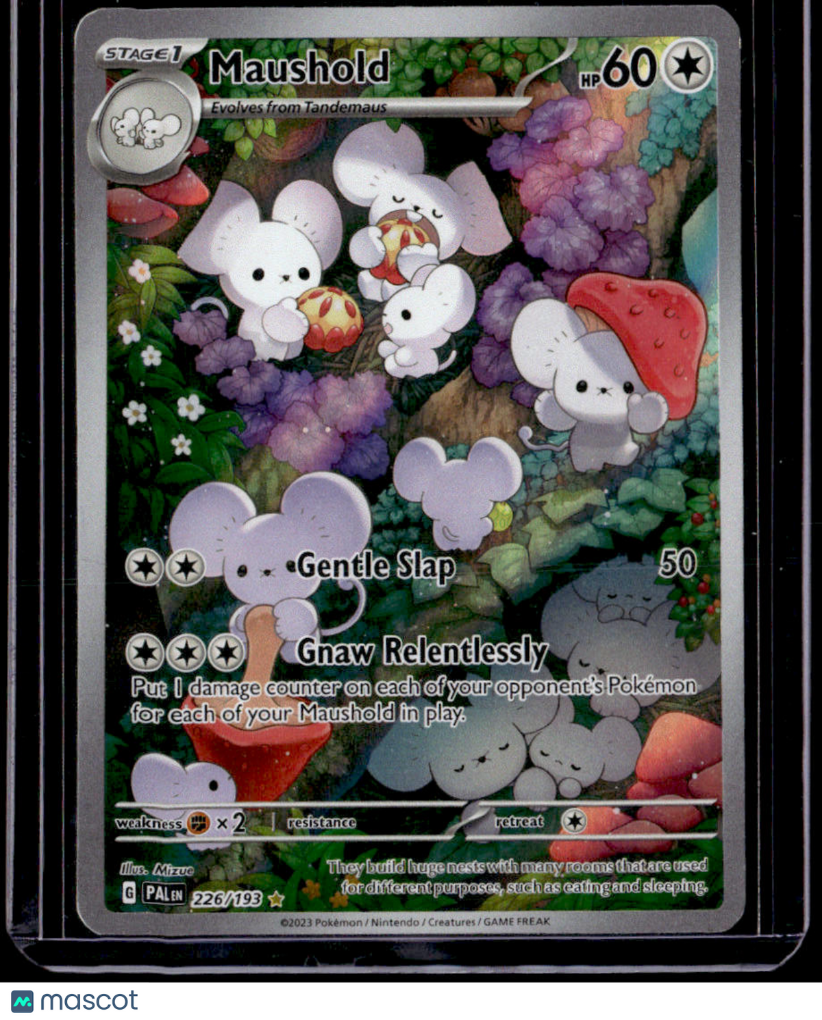 SV02: Paldea Evolved Maushold