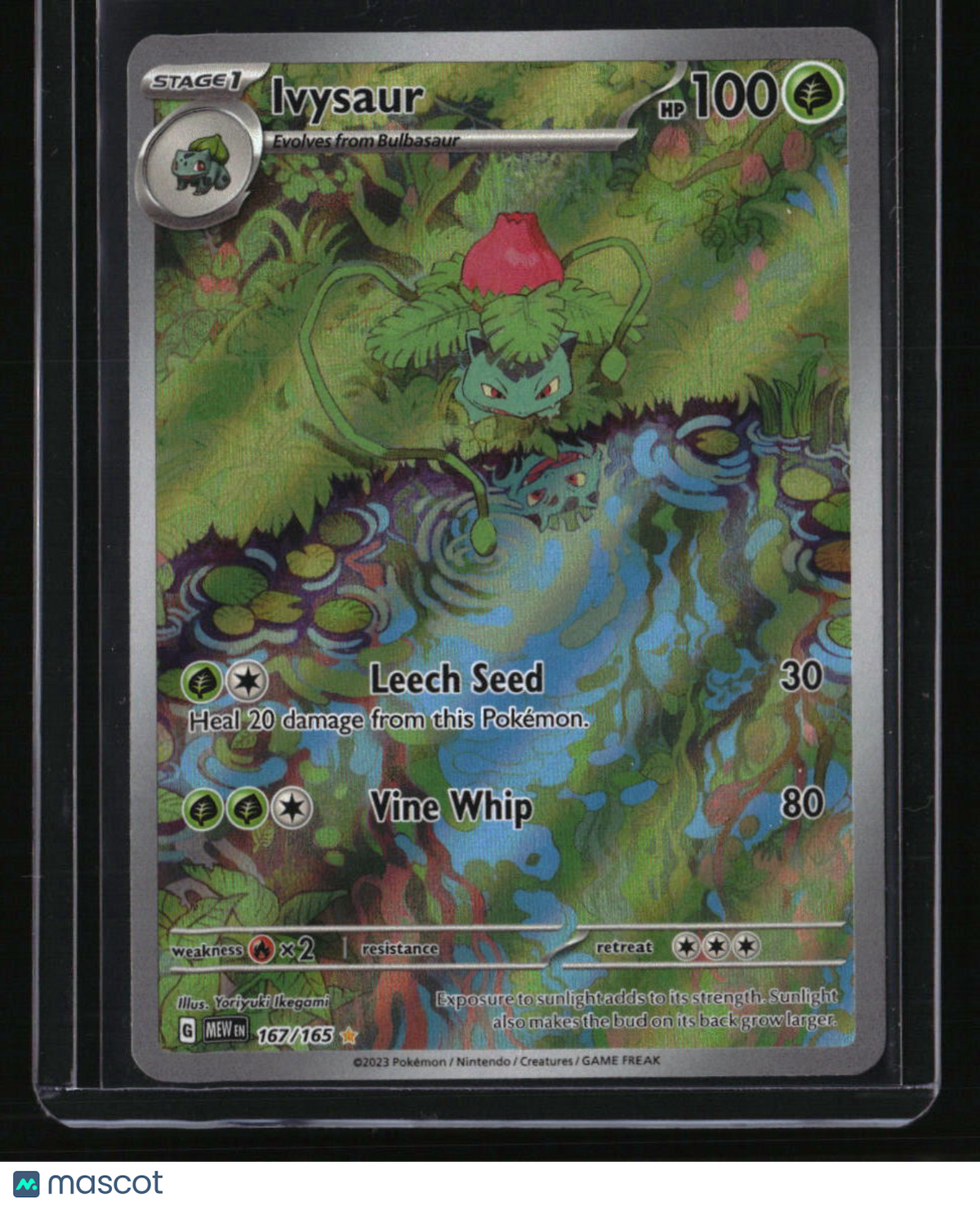 SV: Scarlet & Violet 151 Ivysaur