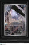 SV05: Temporal Forces Snom