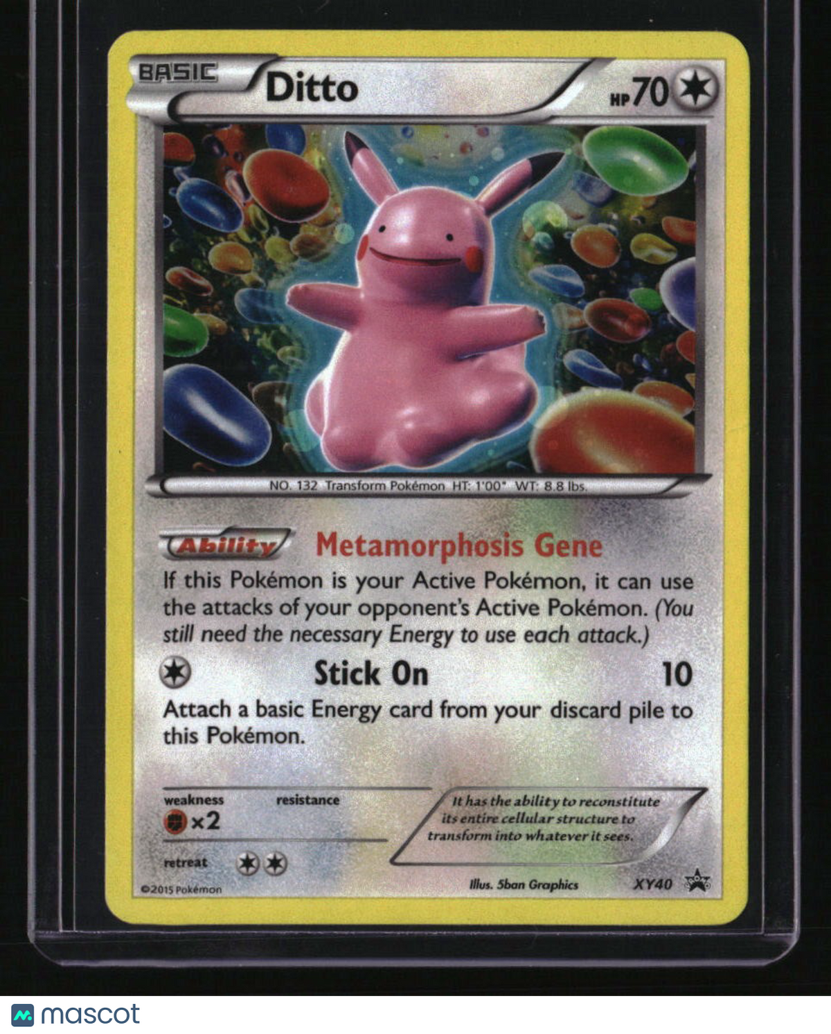 XY Promos Ditto
