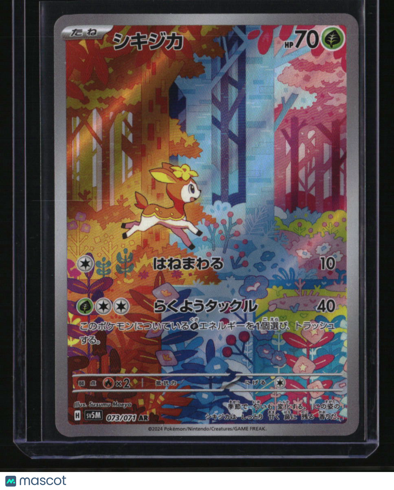 buy japanese pokemon card singles 112/081}Mega Zeraora ex Pokemon Japanese Singles Available at