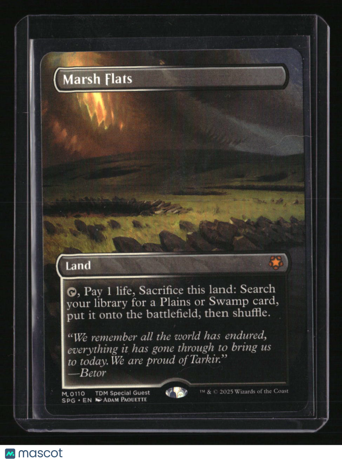 Special Guests Marsh Flats (Borderless)