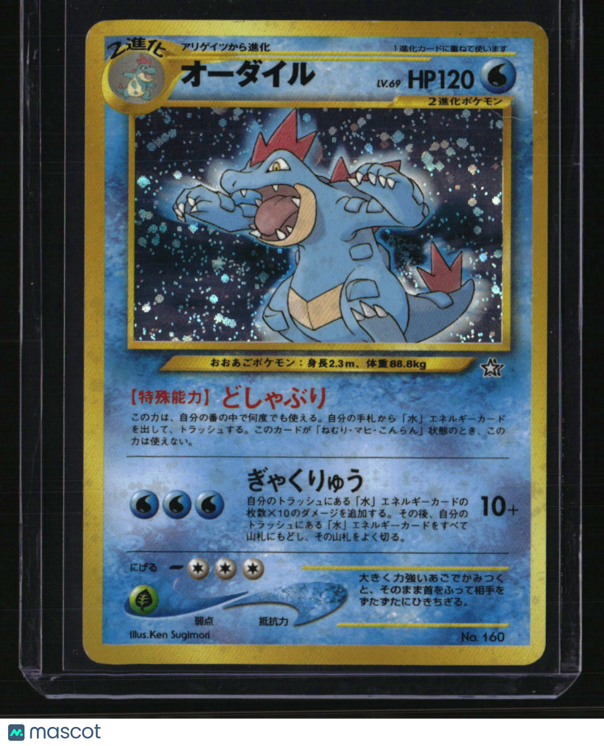 Neo Premium File 1 Feraligatr