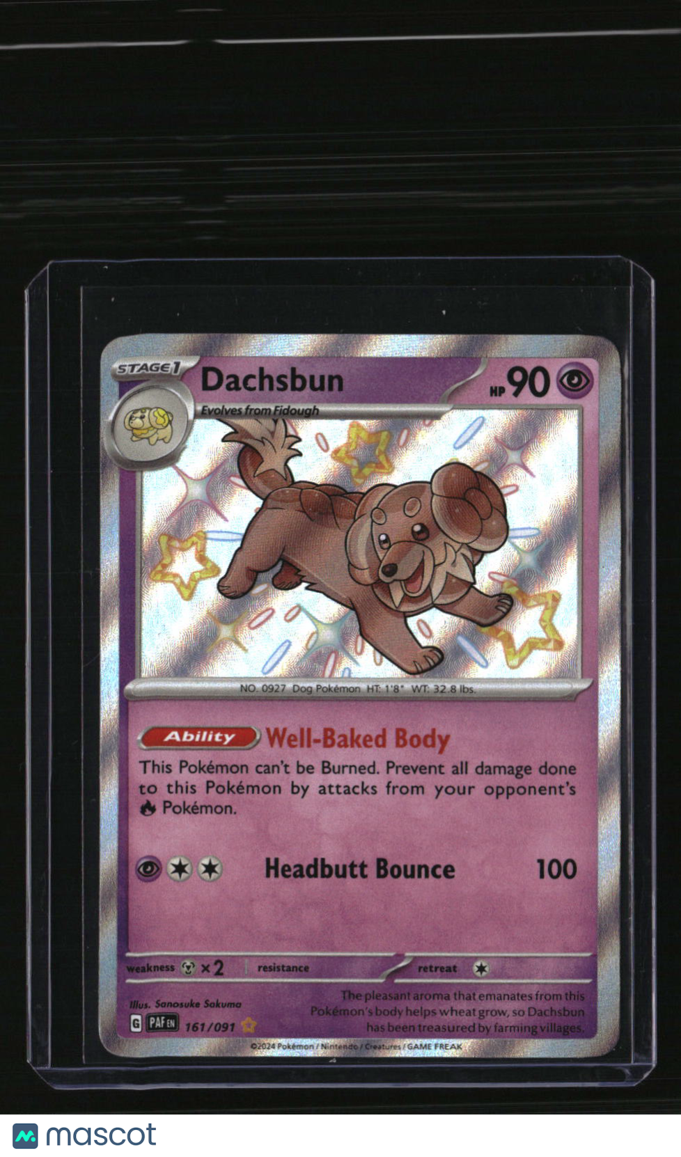 SV: Paldean Fates Dachsbun