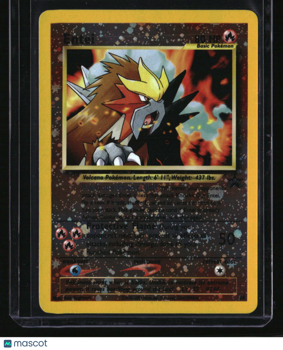 WoTC Promo Entei