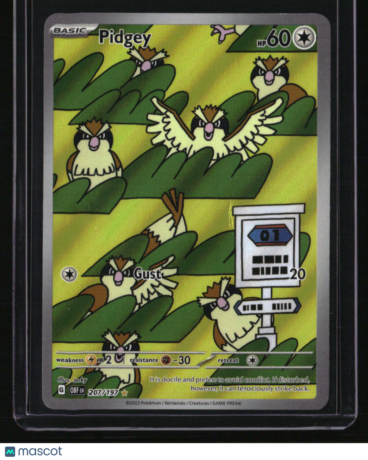 SV03: Obsidian Flames Pidgey
