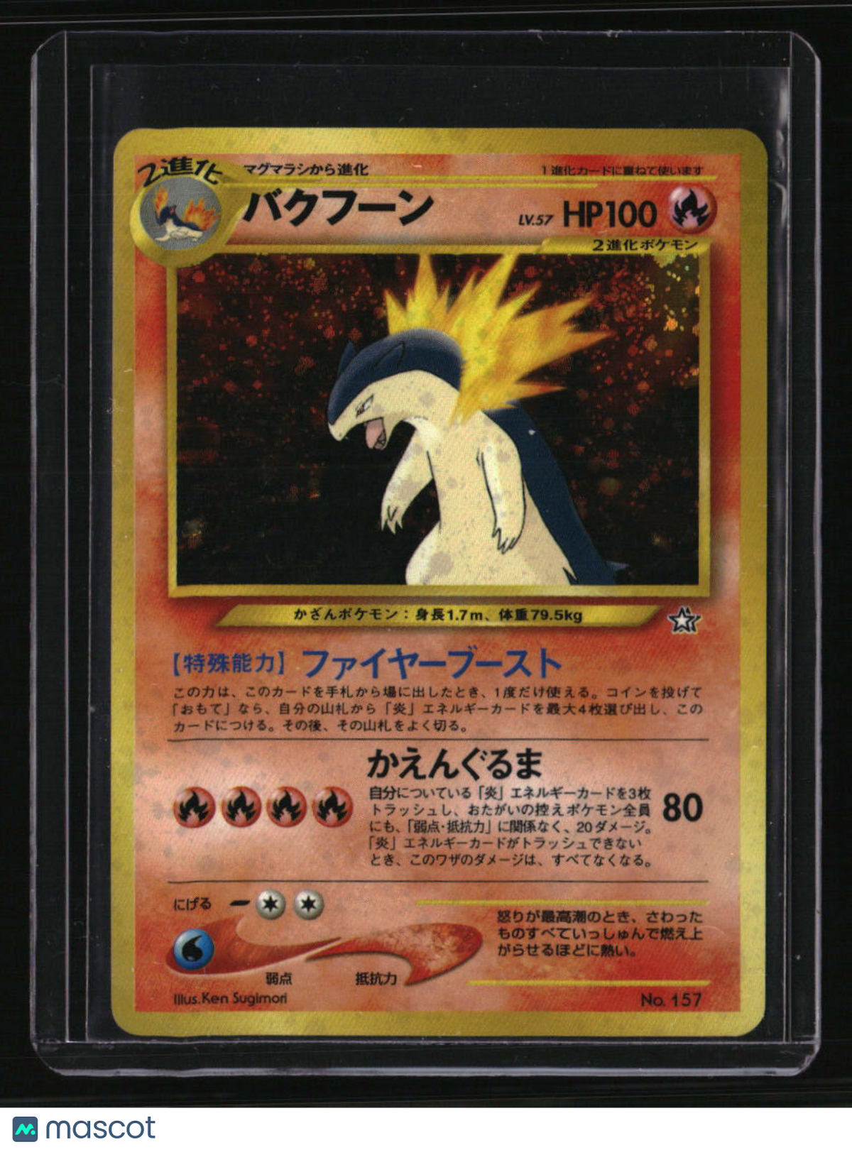 Neo Premium File 1 Typhlosion
