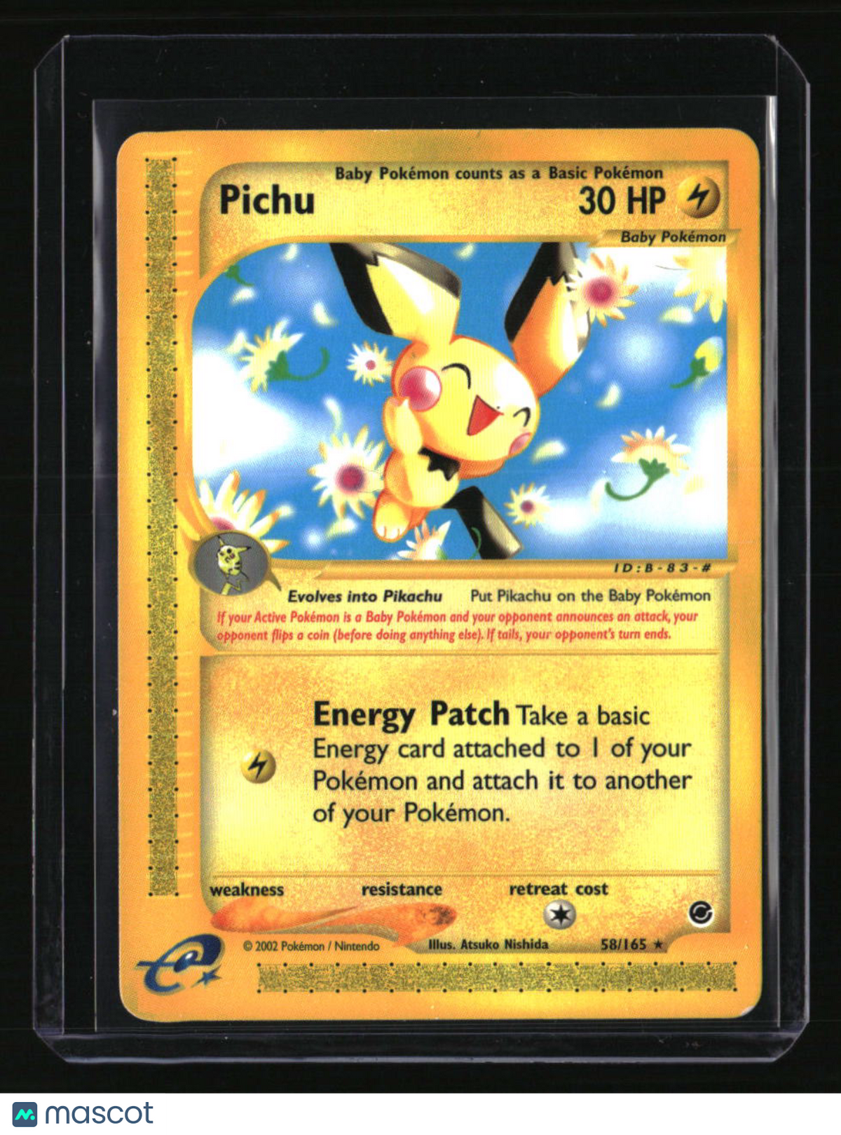 Expedition Pichu (58)