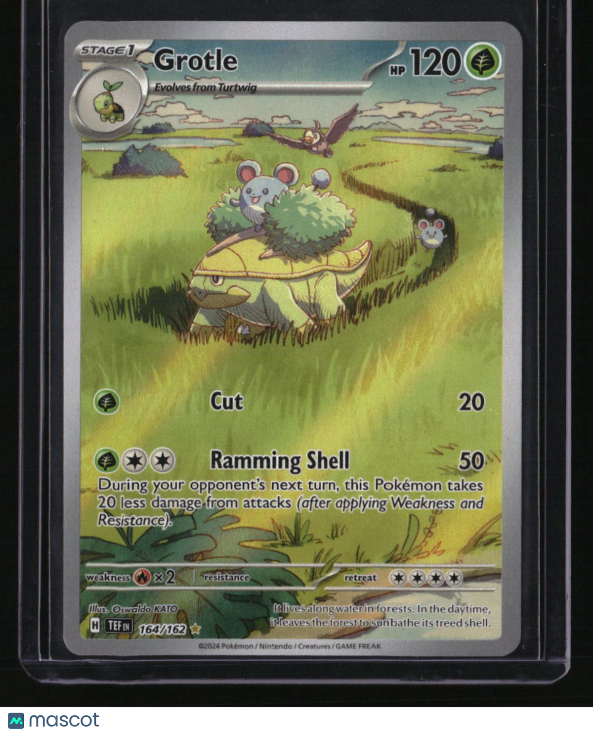 SV05: Temporal Forces Grotle