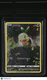 SWSH: Crown Zenith: Galarian Gallery Turtwig