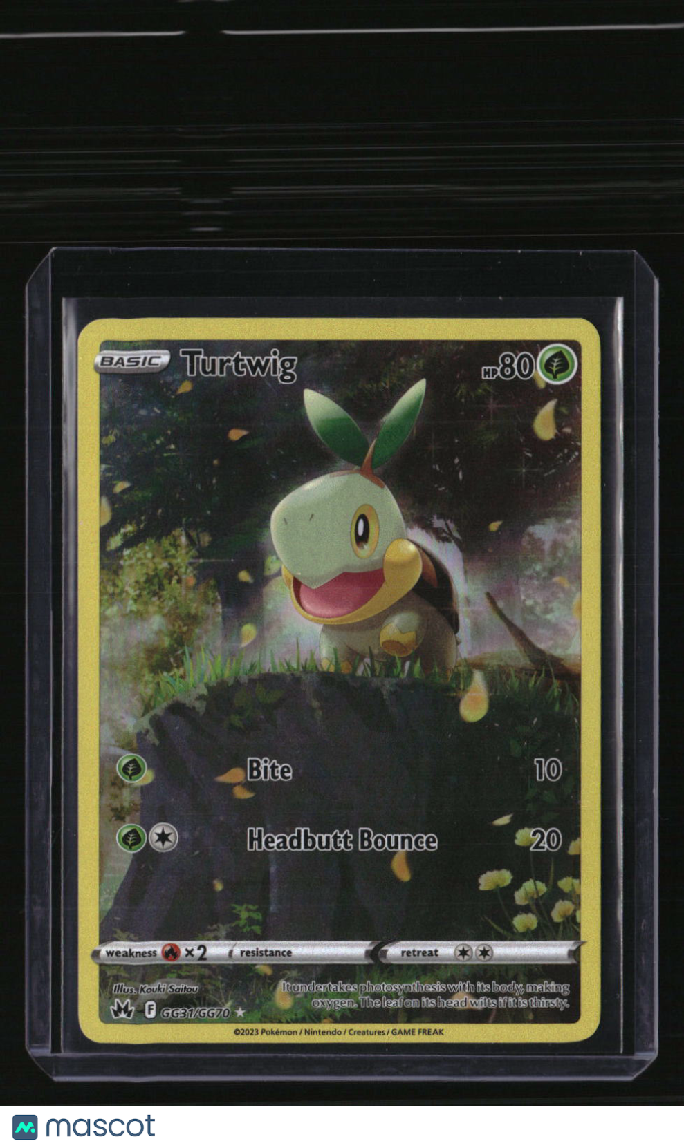 SWSH: Crown Zenith: Galarian Gallery Turtwig