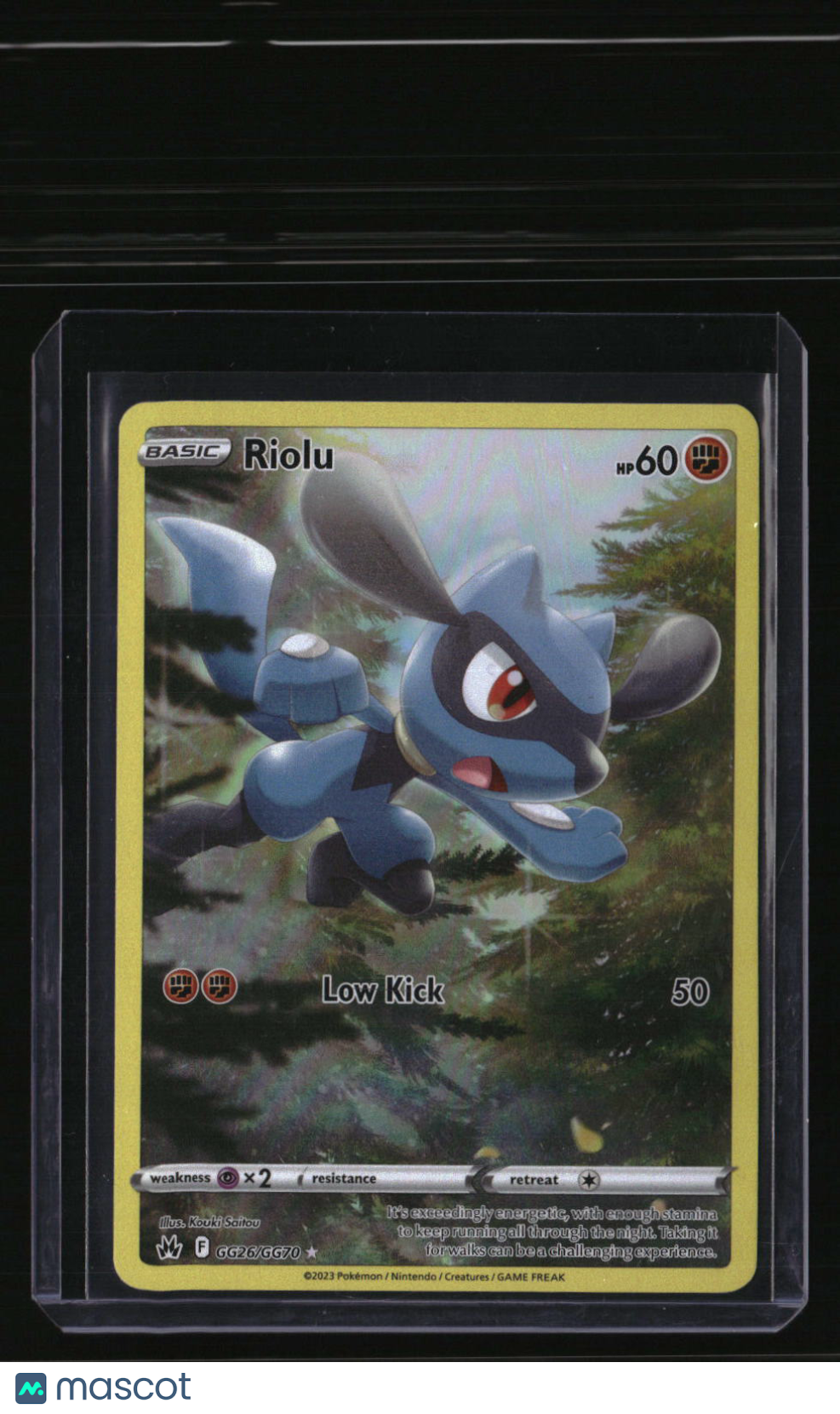 SWSH: Crown Zenith: Galarian Gallery Riolu