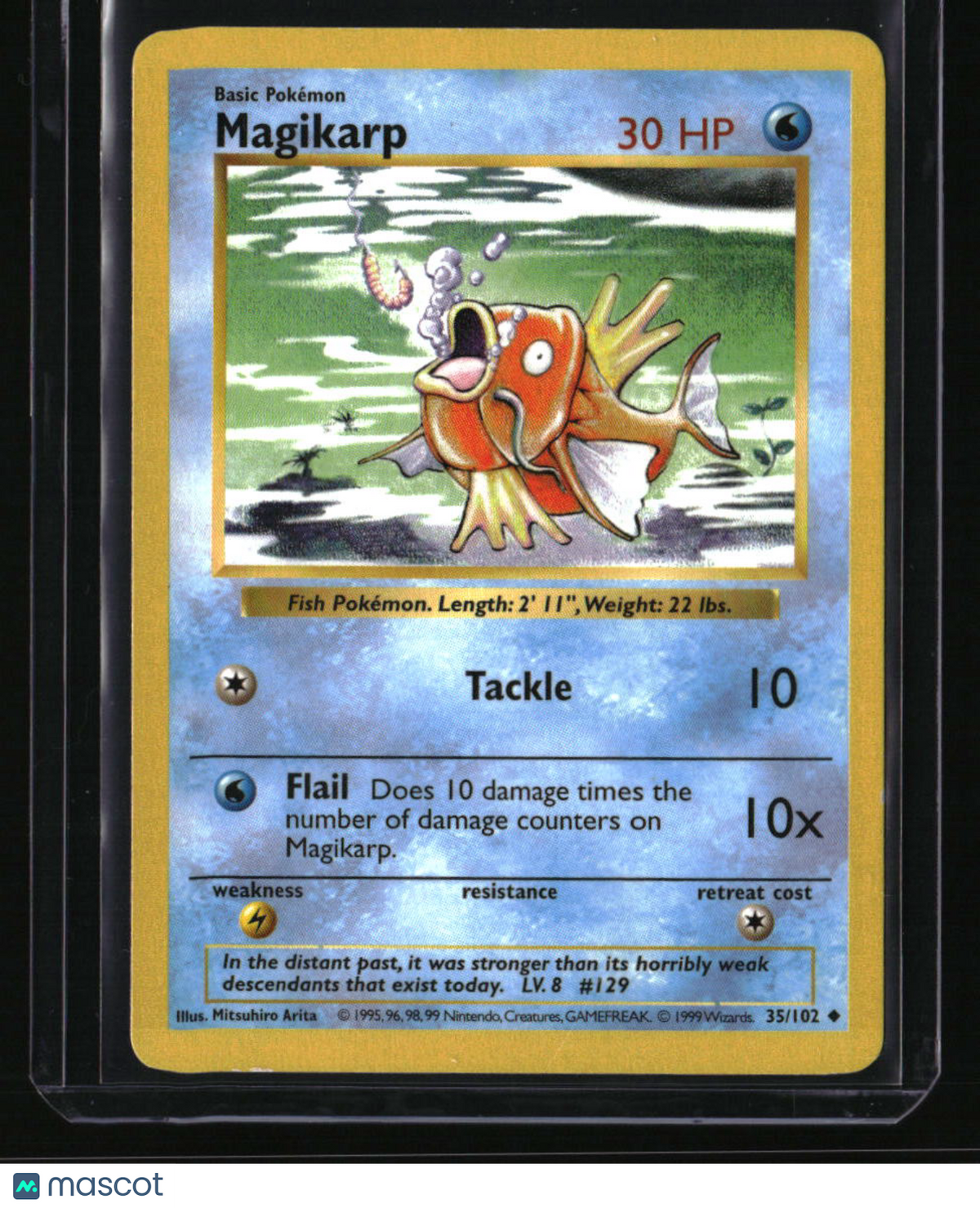 Base Set (Shadowless) Magikarp