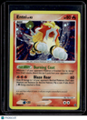 Secret Wonders Entei
