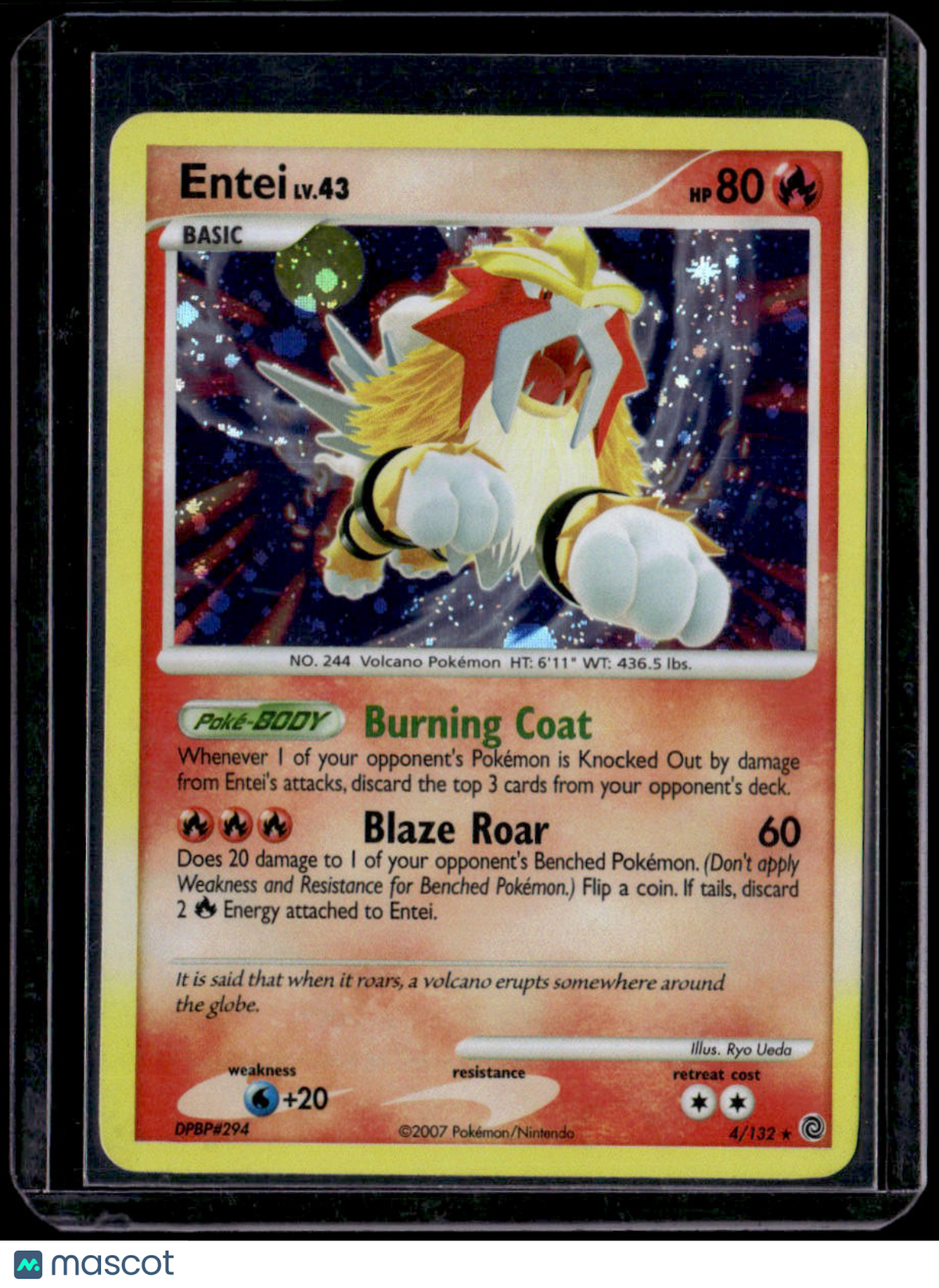 Secret Wonders Entei