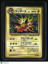Pokemon Jungle Jolteon