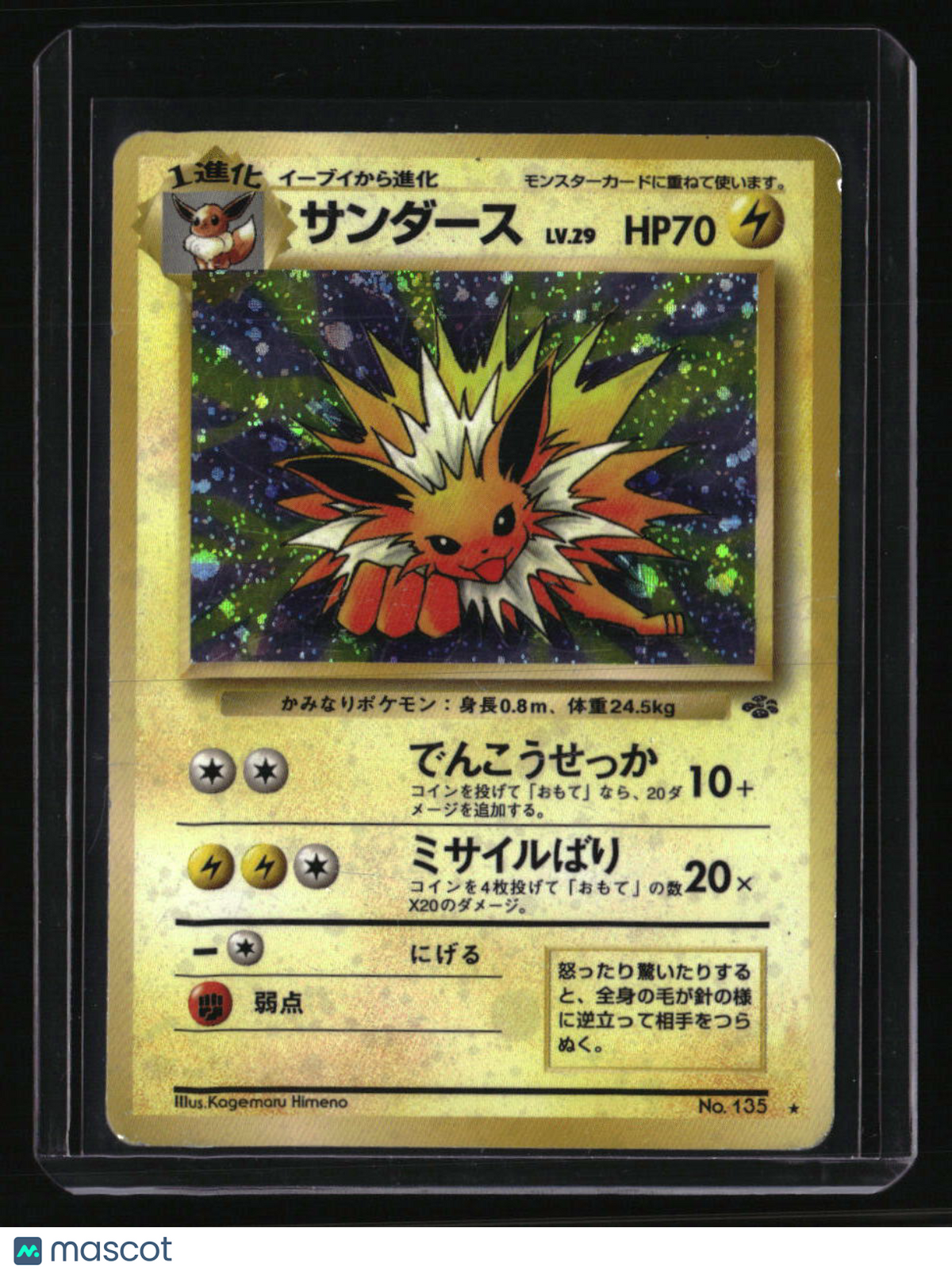 Pokemon Jungle Jolteon
