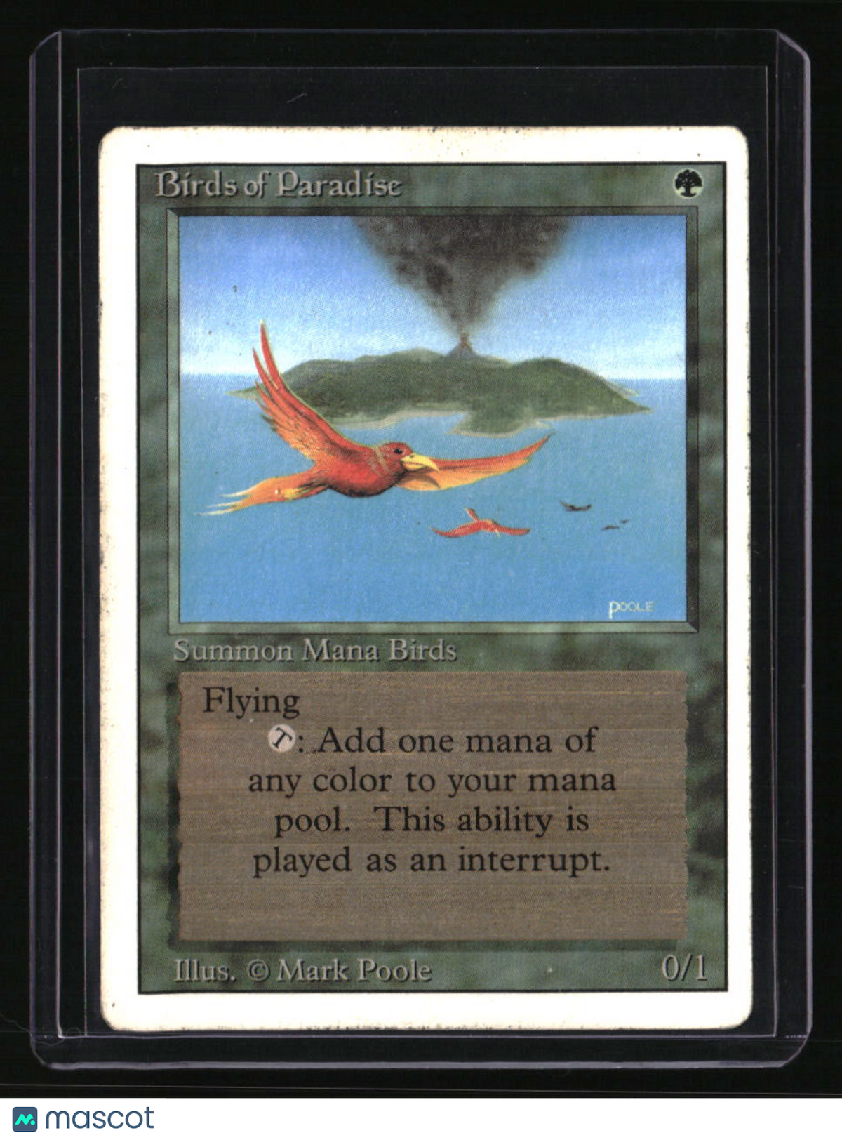 Revised Edition Birds of Paradise