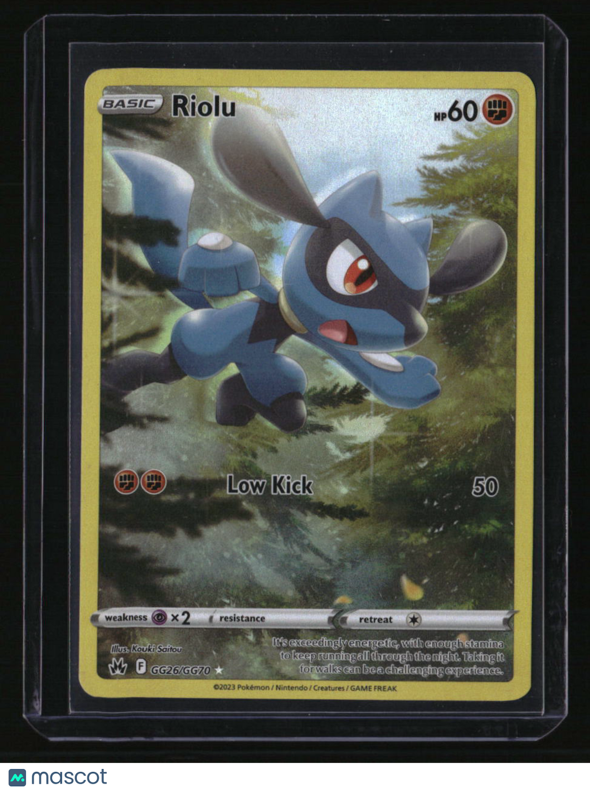 SWSH: Crown Zenith: Galarian Gallery Riolu