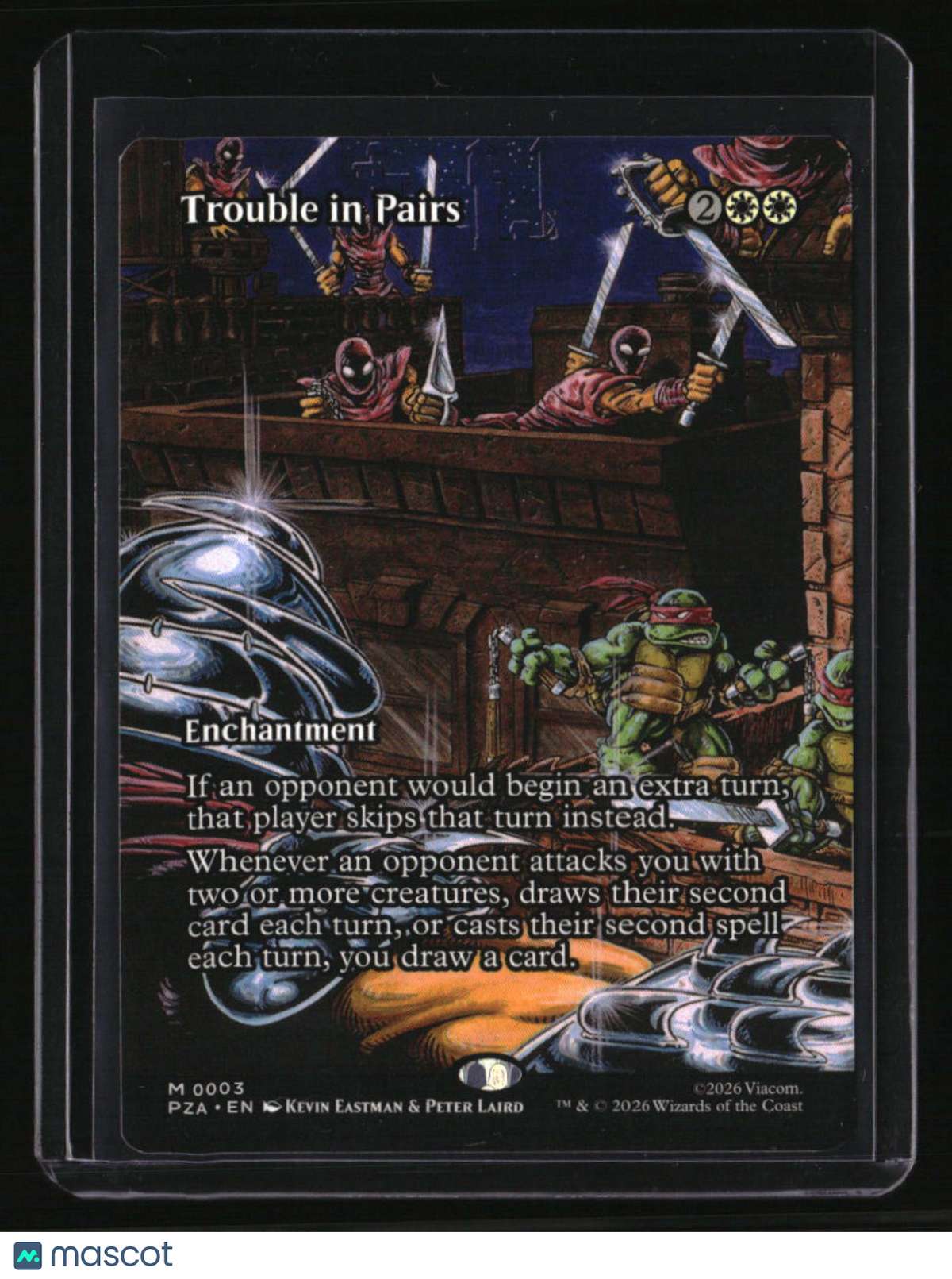 Teenage Mutant Ninja Turtles Source Material Trouble in Pairs (Borderless)