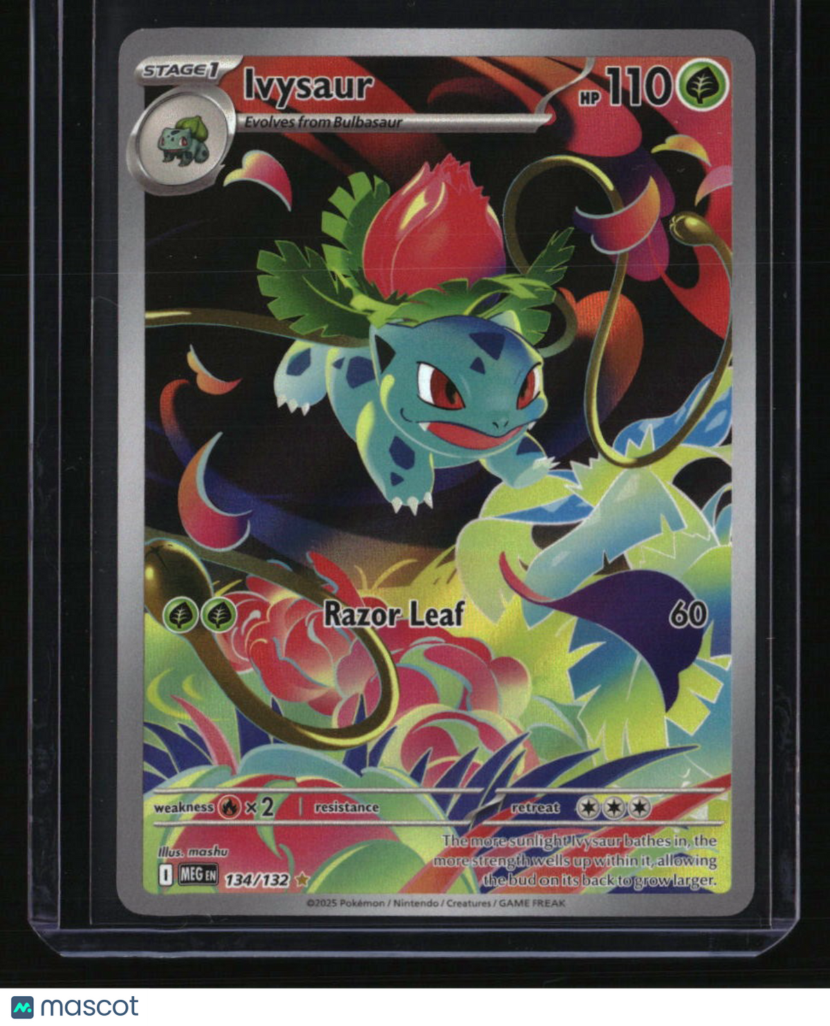 ME01: Mega Evolution Ivysaur