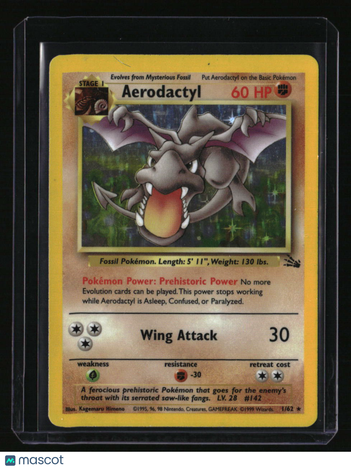 Fossil Aerodactyl (1)