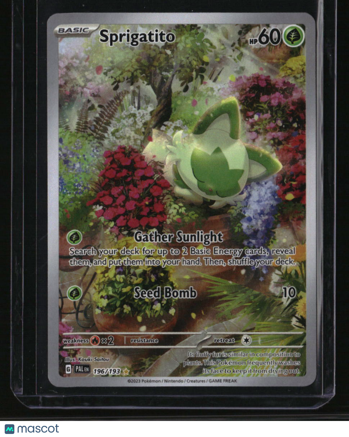 SV02: Paldea Evolved Sprigatito