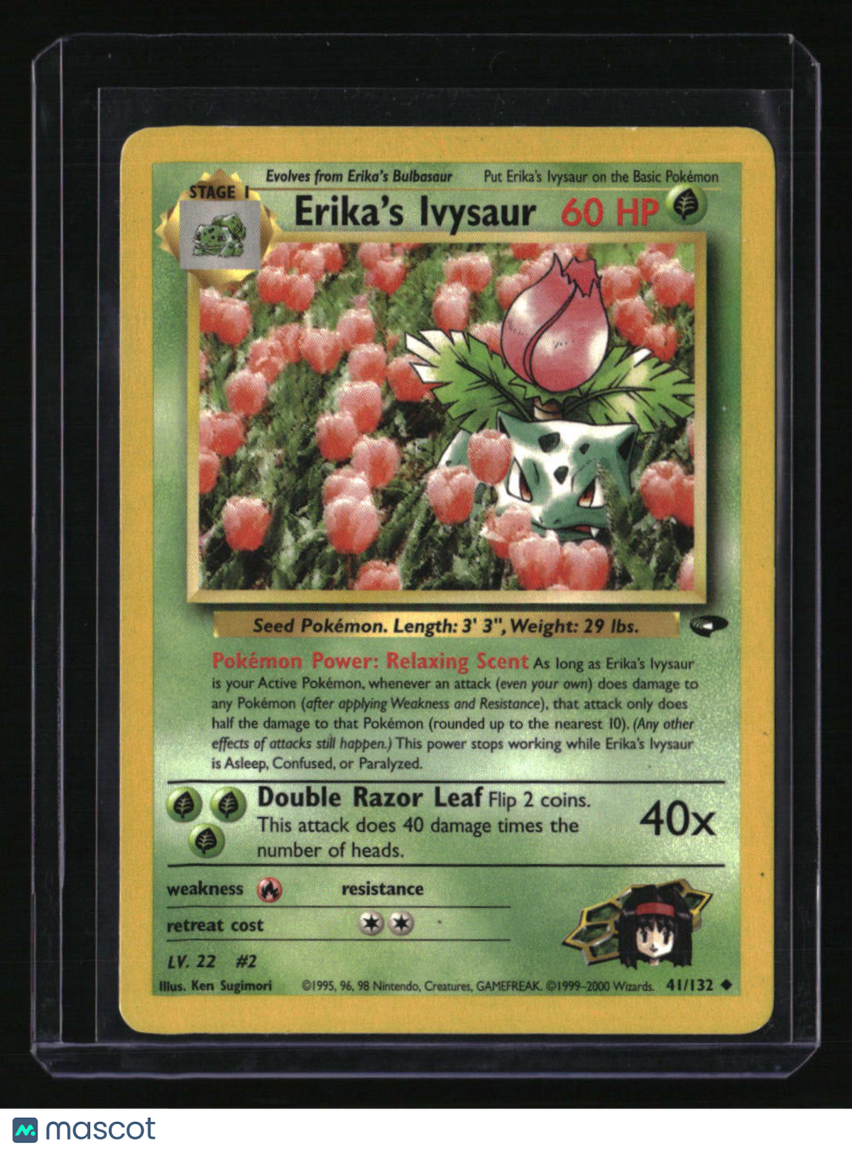 Gym Challenge Erika's Ivysaur